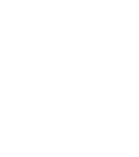 Algomatic Icon
